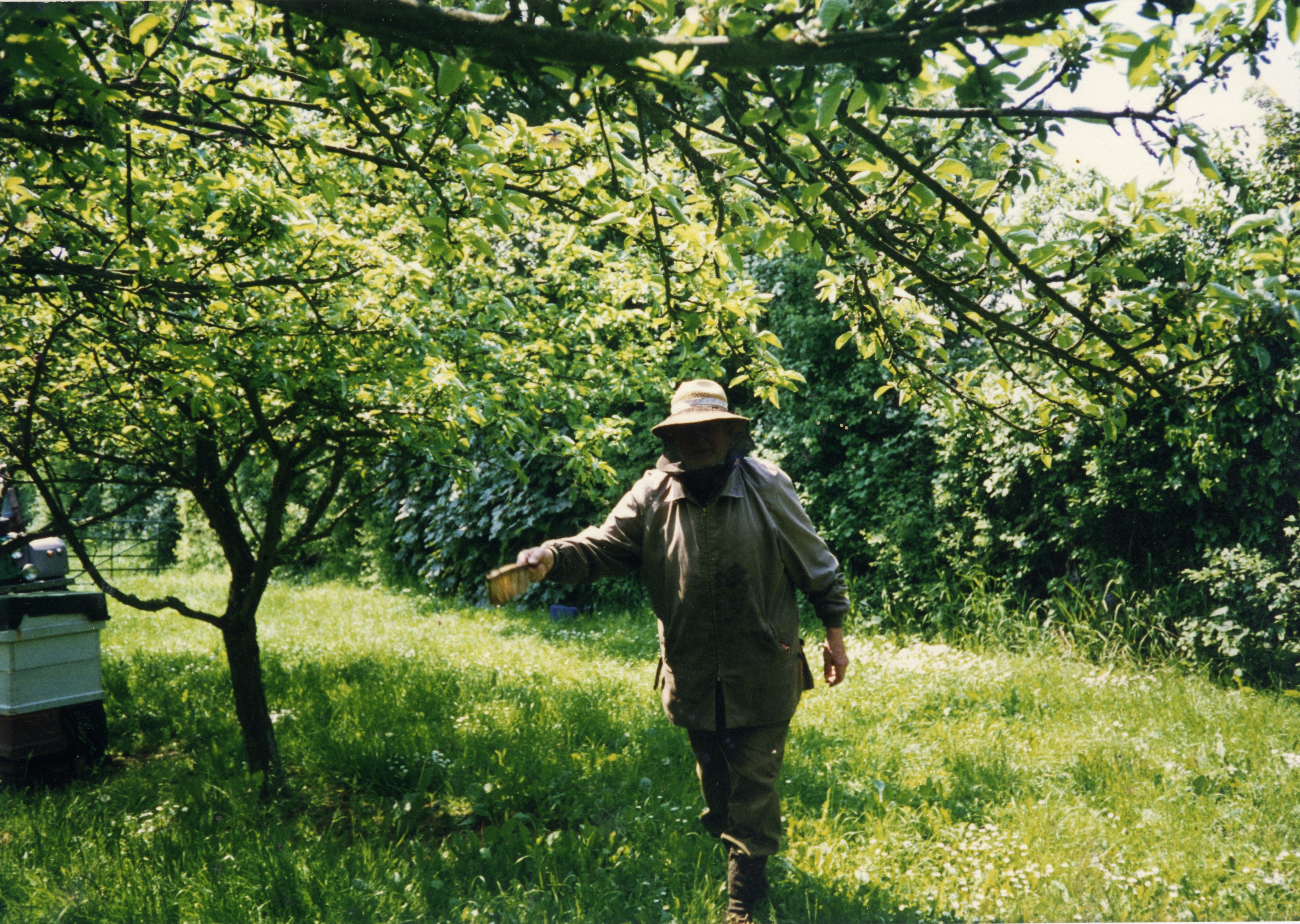 Frank Jennings - Beekeeping in Orchard