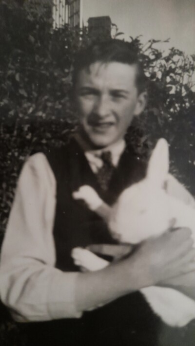 Boy with rabbit