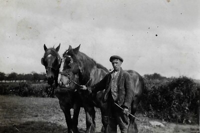 Tom Pipe with working horses