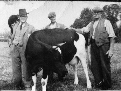 Charles Male and Friesian Cow