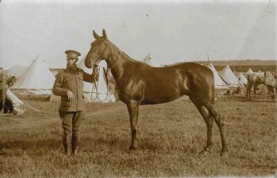 Josiah Hebditch with Horse, pre WW1