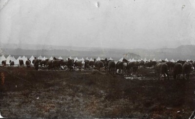 Post Card - Soldiers maintaining kit at Torweston Camp, pre WW1
