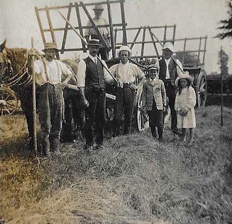 Hay Wagons at Burrow Farm