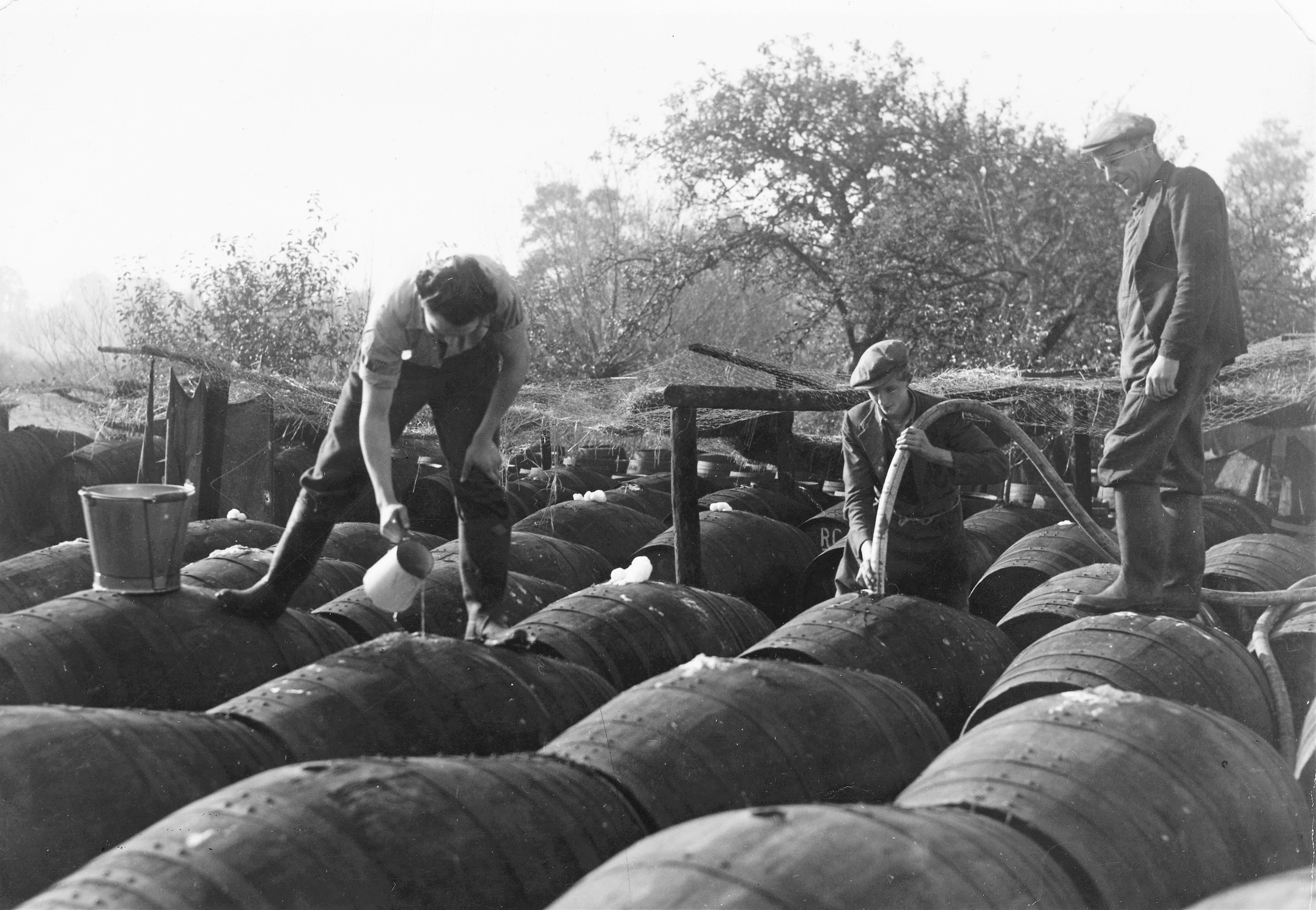 Topping up the Cider Barrels at Pass Vale Farm