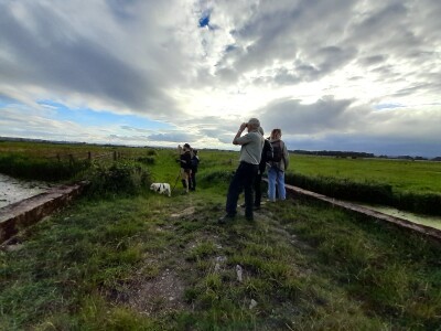 West Moor Wild Life Group Walk