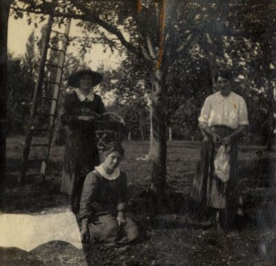 Three Women in Orchard