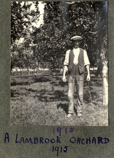 A Lambrook Orchard