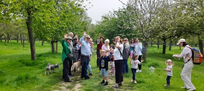 Story telling in the Orchards