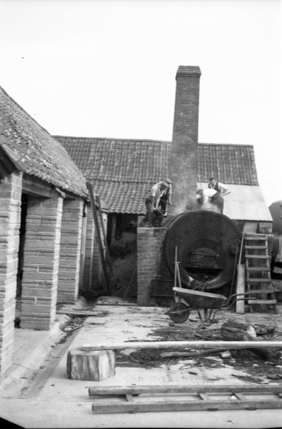 Coxs Farm Withy Boiler