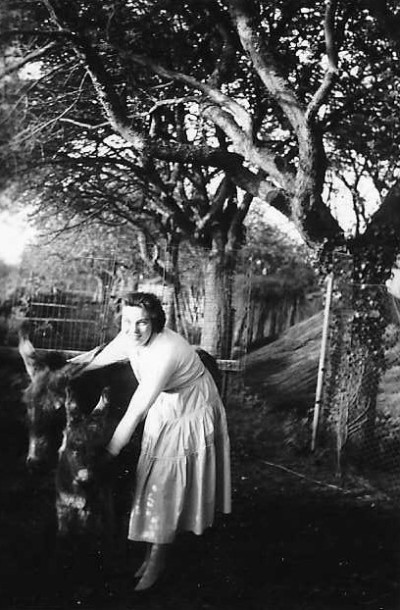 Joyce Lock with pet donkeys