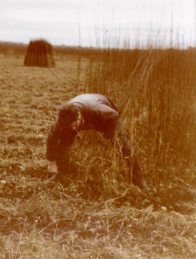 Ed Male cutting withies