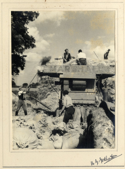 Harvest time with threshing machine