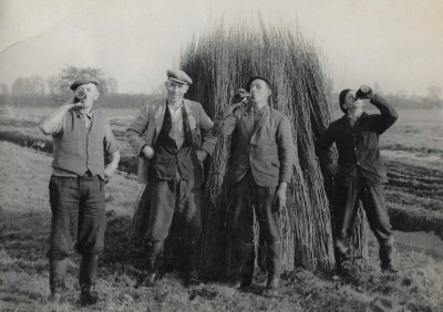 Withy Cutters on West Moor