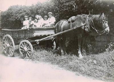 Children in horse-drawn cart