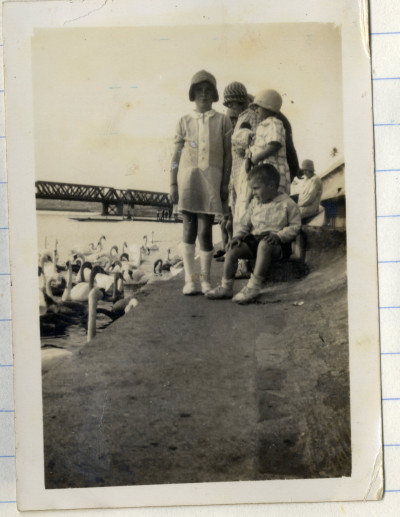 Group of Children Next to Swans