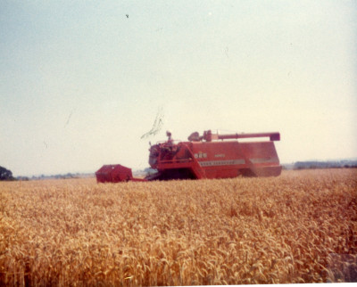 Harvesting in East Lambrook