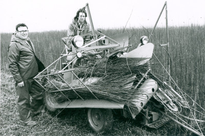Withy Cutting on West Moor