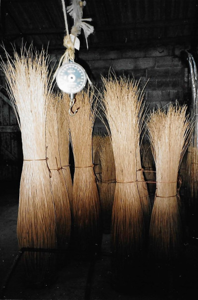 Withy Bundles with Weighing Scales