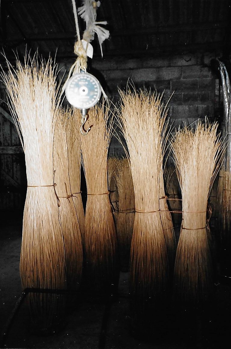 Withy Bundles with Weighing Scales