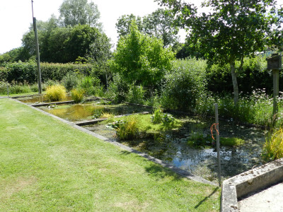Withy Ponds