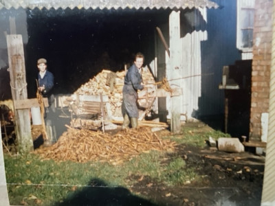 Stripping Withies by Hand
