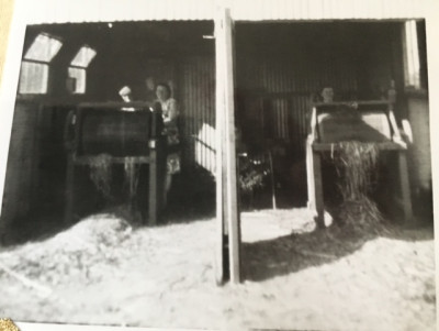 Withy Stipping Machines