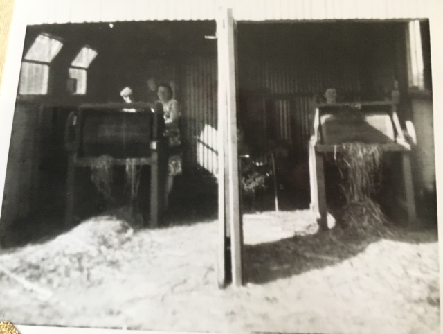 Withy Stipping Machines