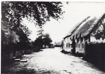 Looking up Folly Road Kingsbury Episcopi