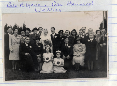 Large group wedding photo