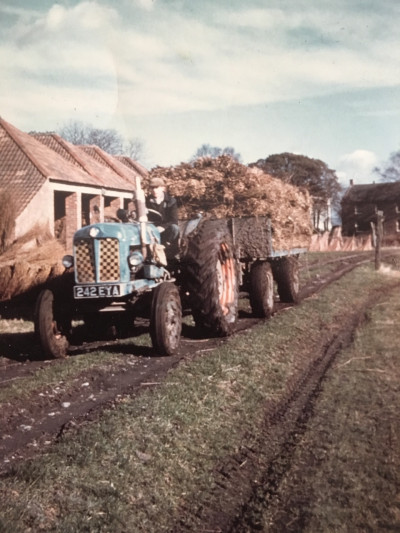 A Load of Withies